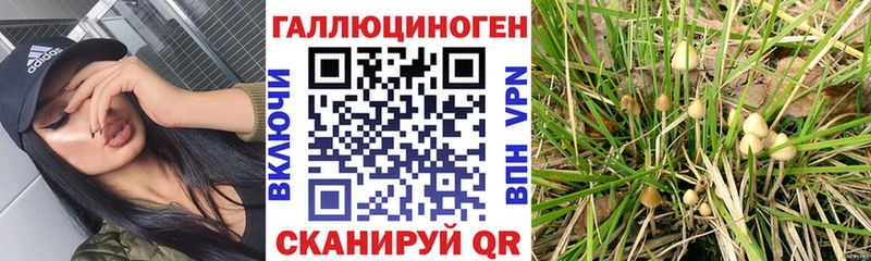 Галлюциногенные грибы мицелий  Верея 