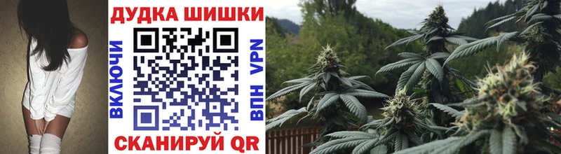 Конопля планчик  Верея 
